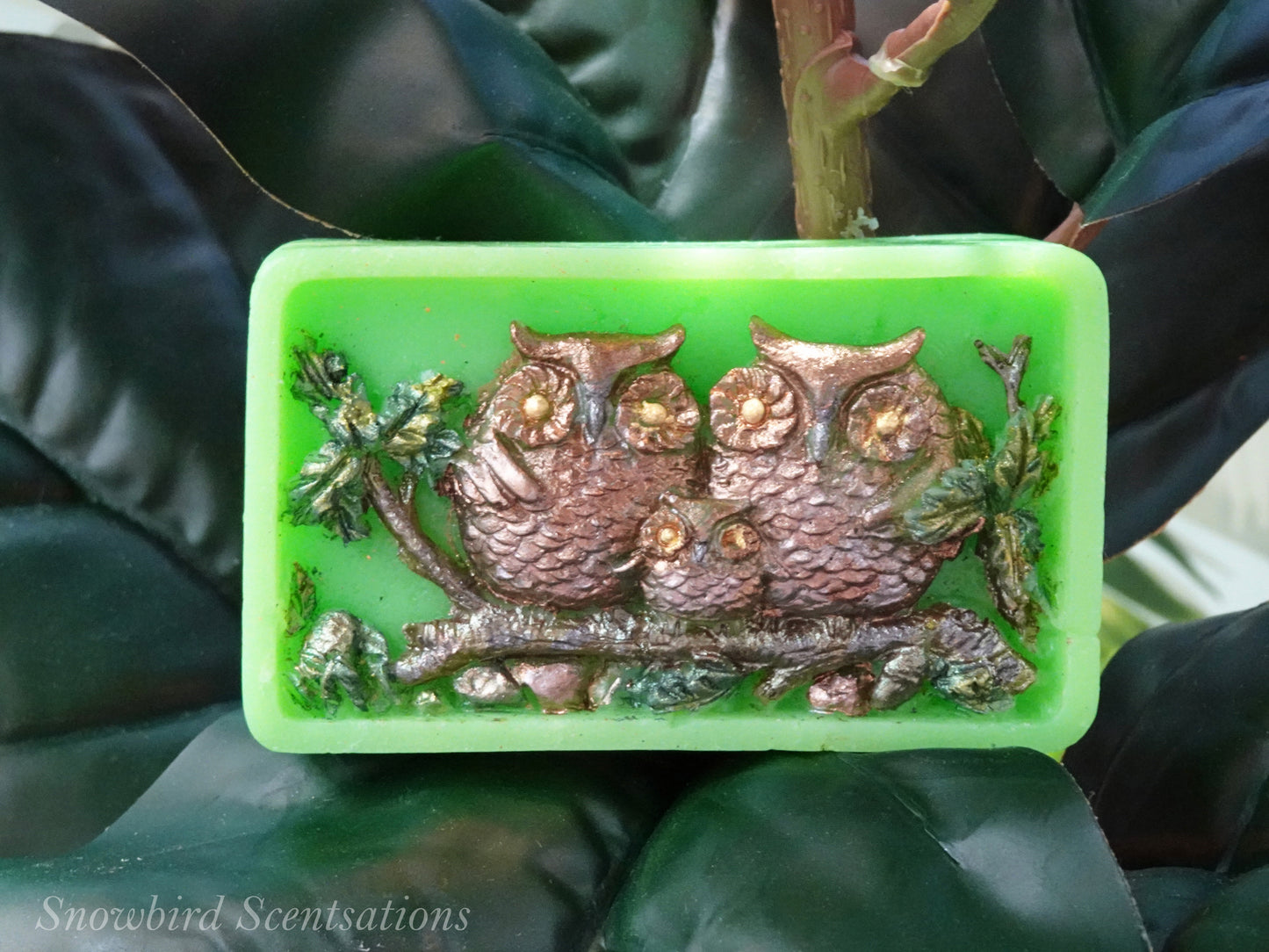 Owl Family (Solid or Painted)
