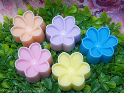 Daisy C (Painted or Solid)