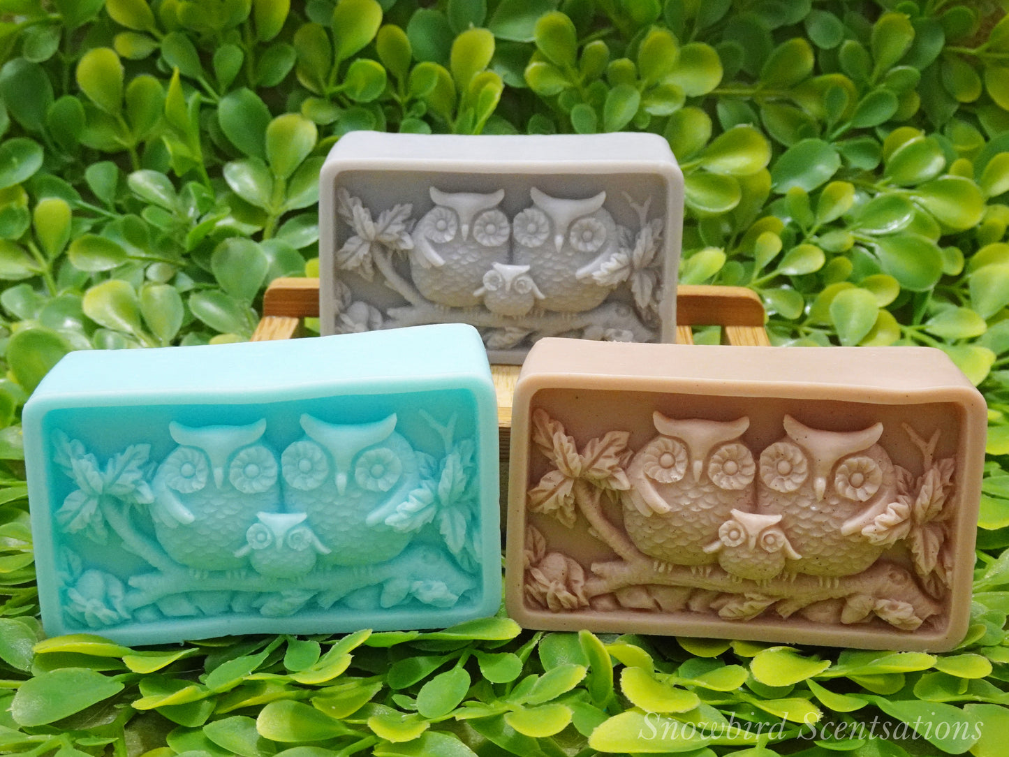 Owl Family (Solid or Painted)