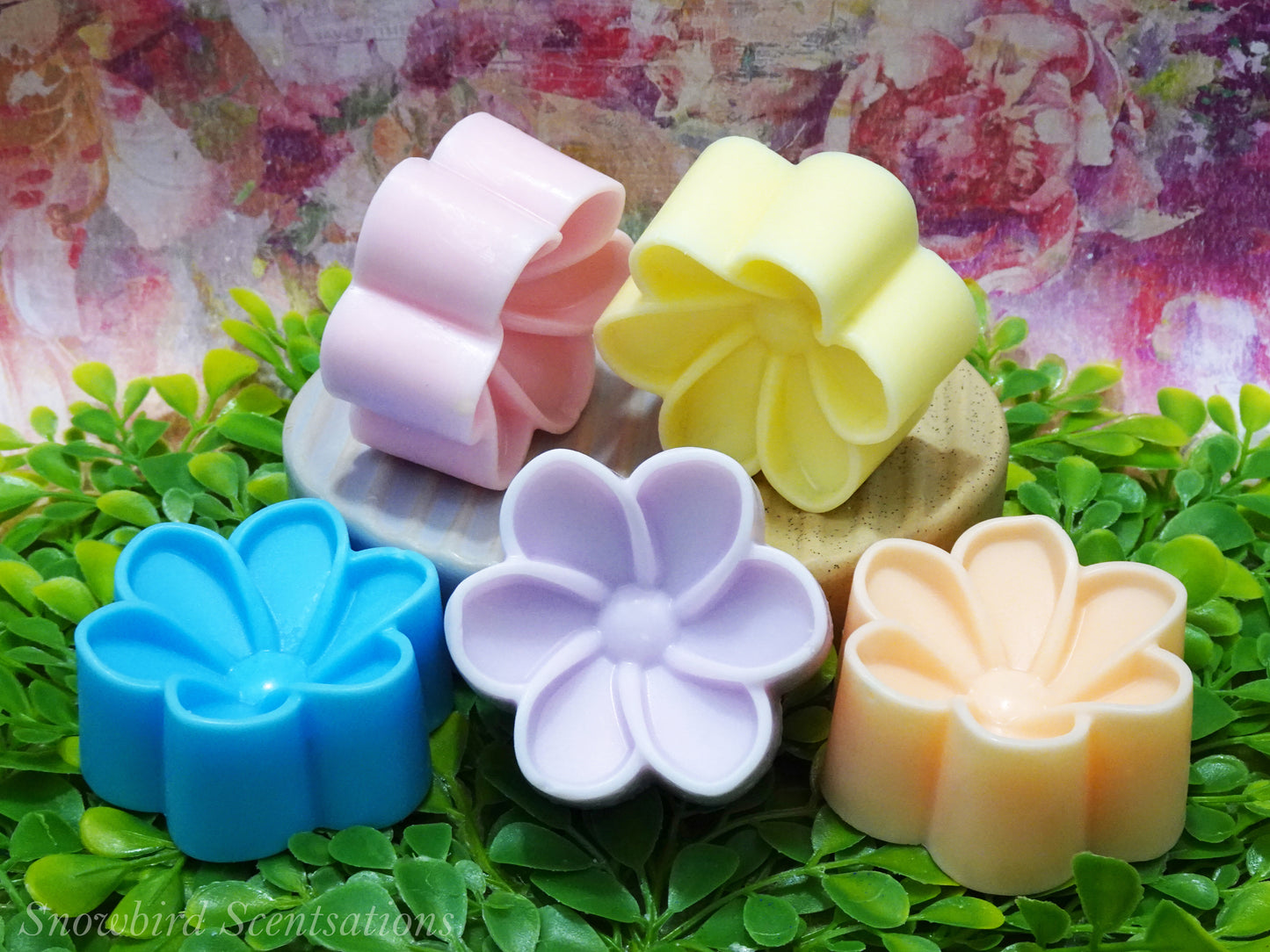 Daisy C (Painted or Solid)
