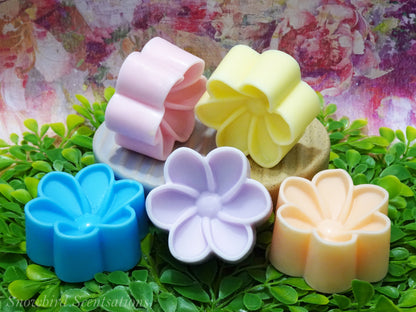 Daisy C (Painted or Solid)