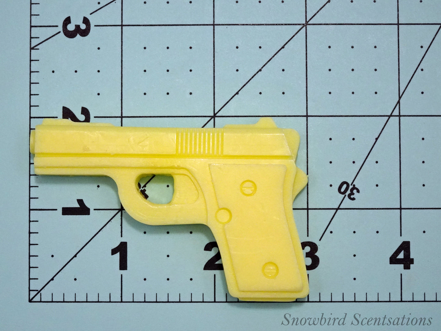 Pistol