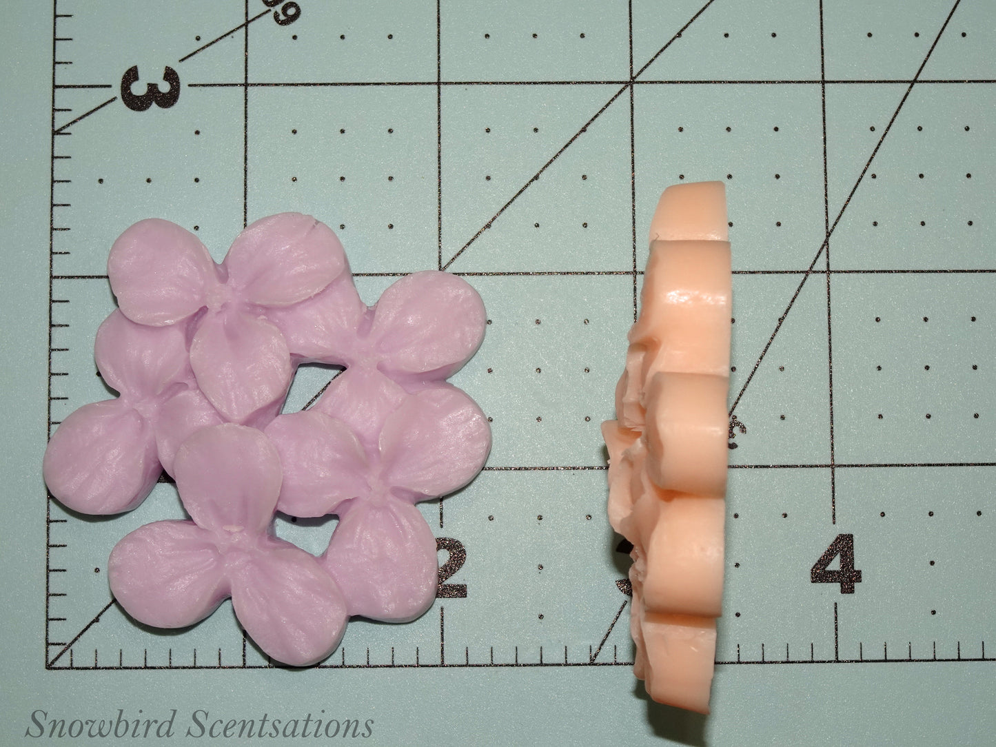 Hydrangea (Solid)