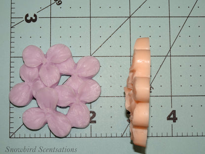 Hydrangea (Solid)