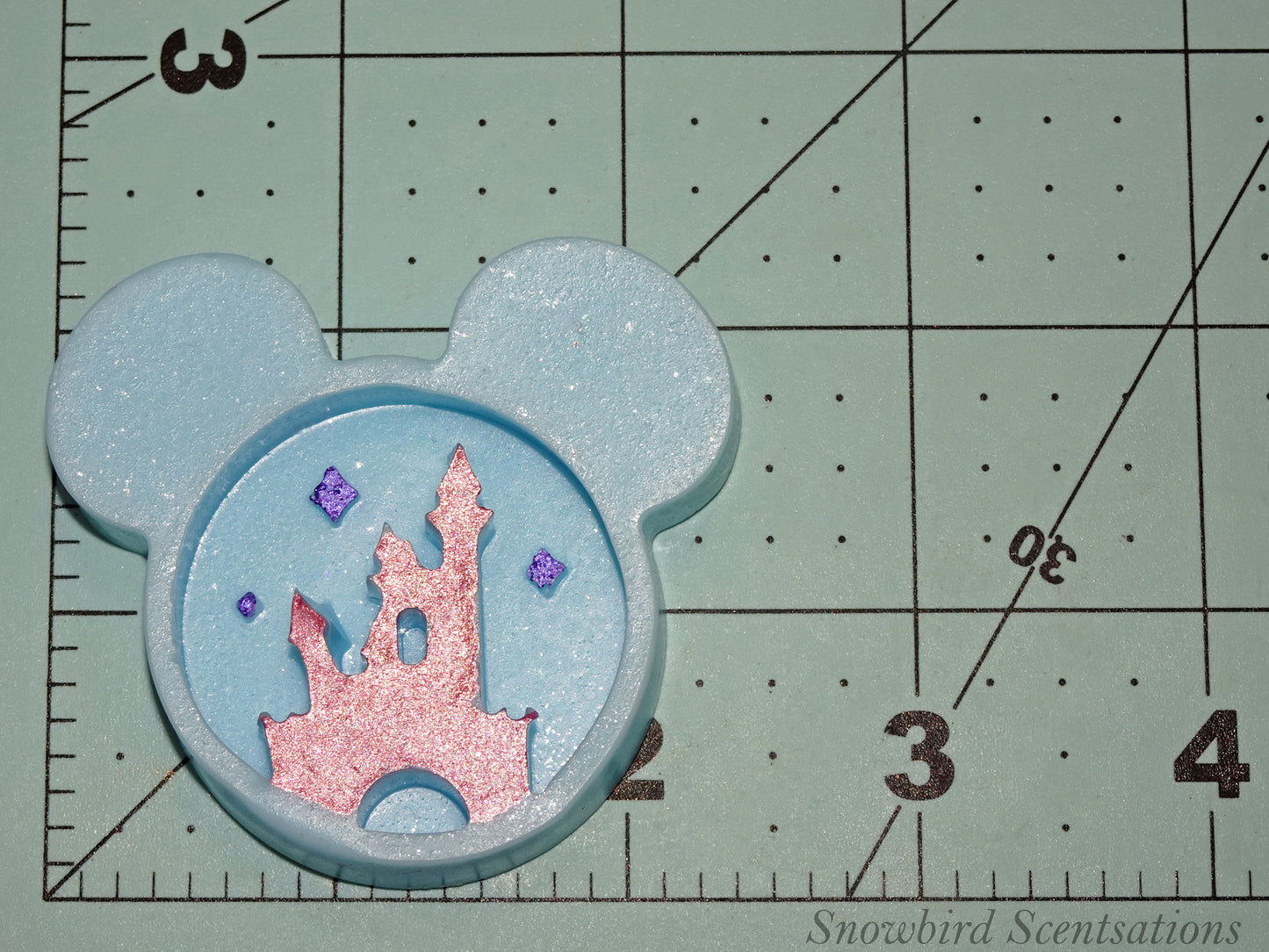 Mickey Ears with Castle (Painted)
