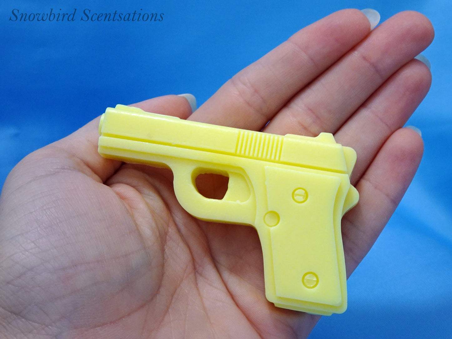 Pistol