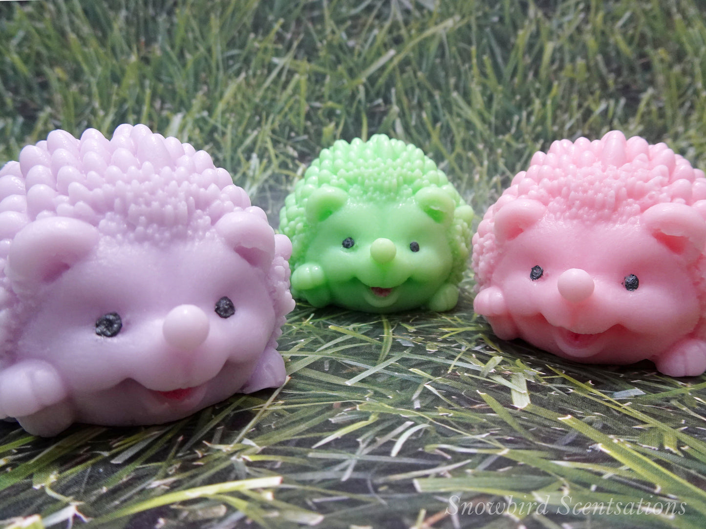 Hedgehog (Solid or Painted)
