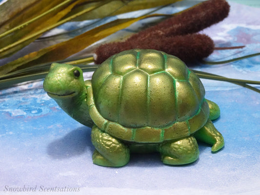 Turtle (Solid or Painted)