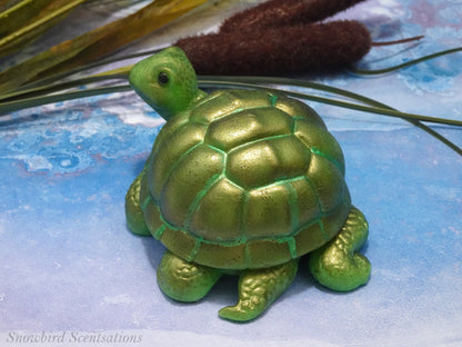 Turtle (Solid or Painted)