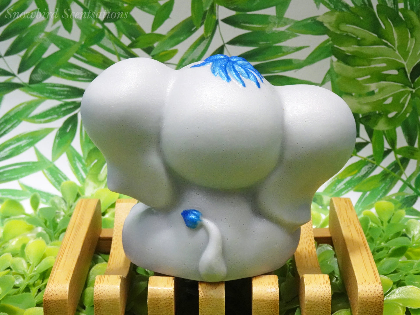 Boy Elephant (Solid or Painted)