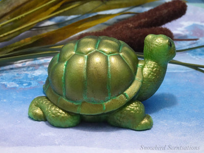 Turtle (Solid or Painted)