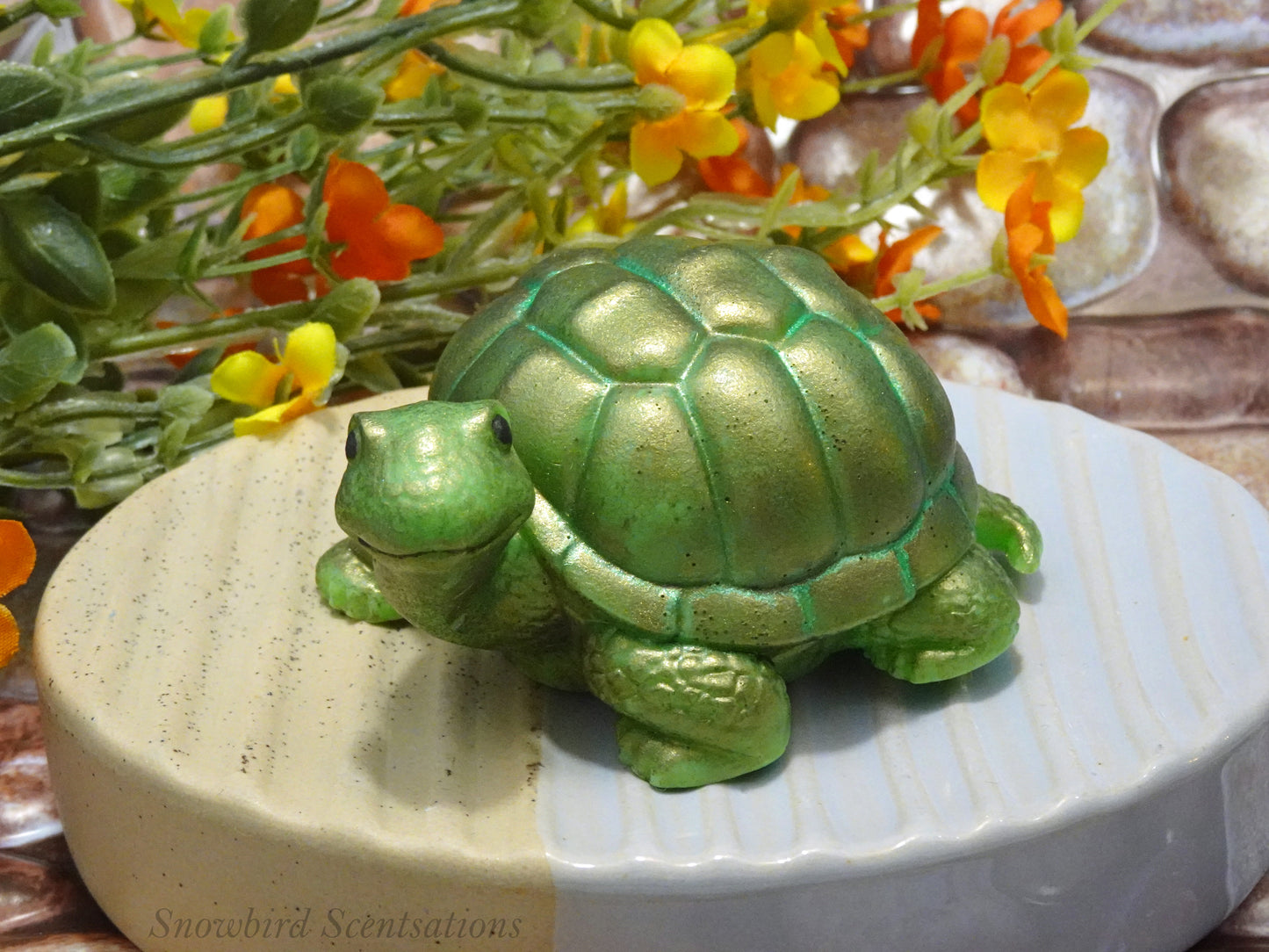Turtle (Solid or Painted)