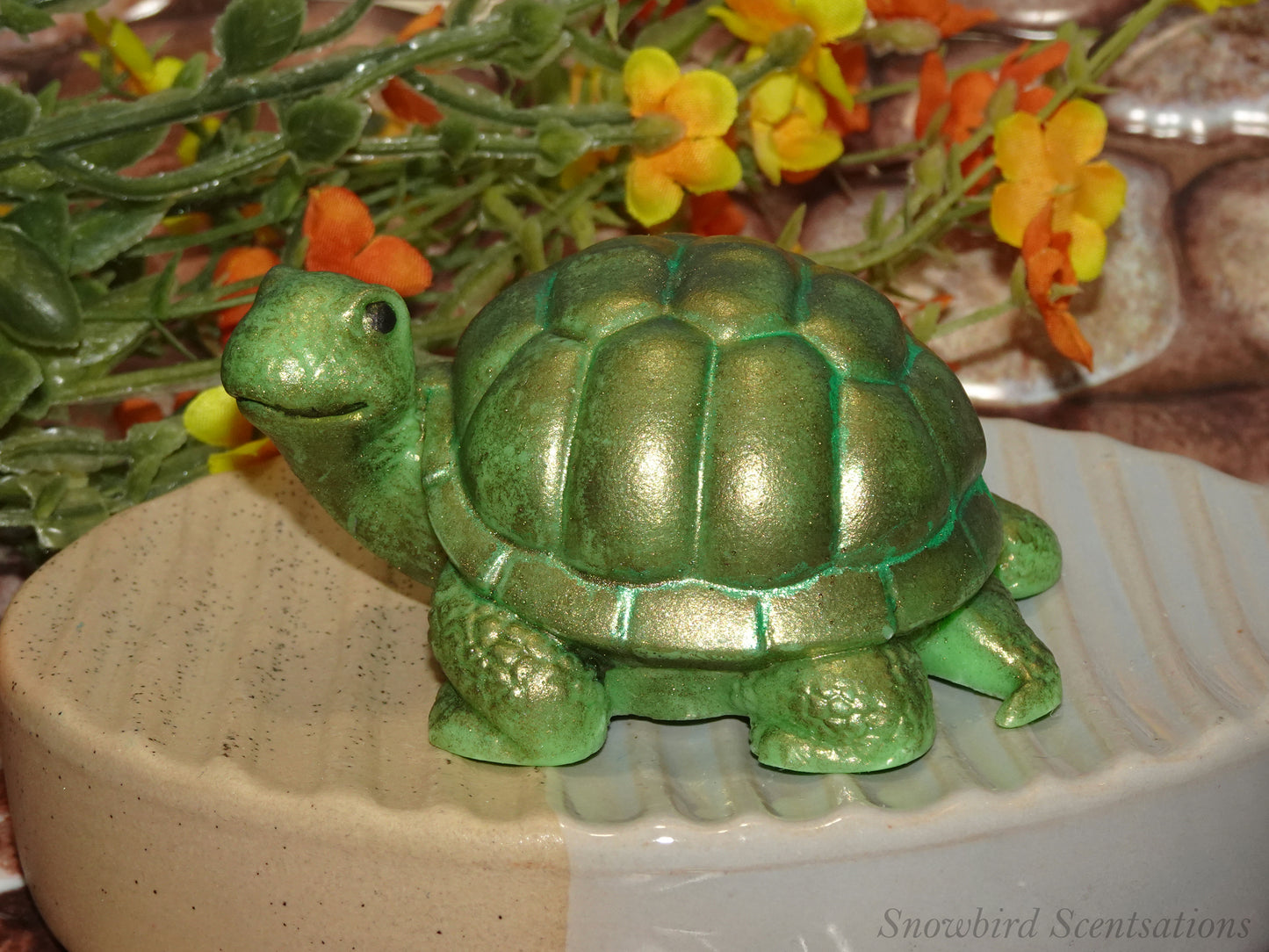 Turtle (Solid or Painted)