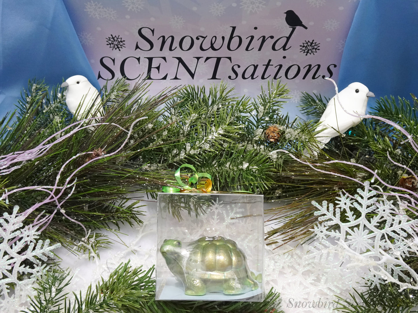 Turtle (Solid or Painted)