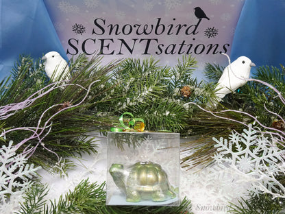 Turtle (Solid or Painted)