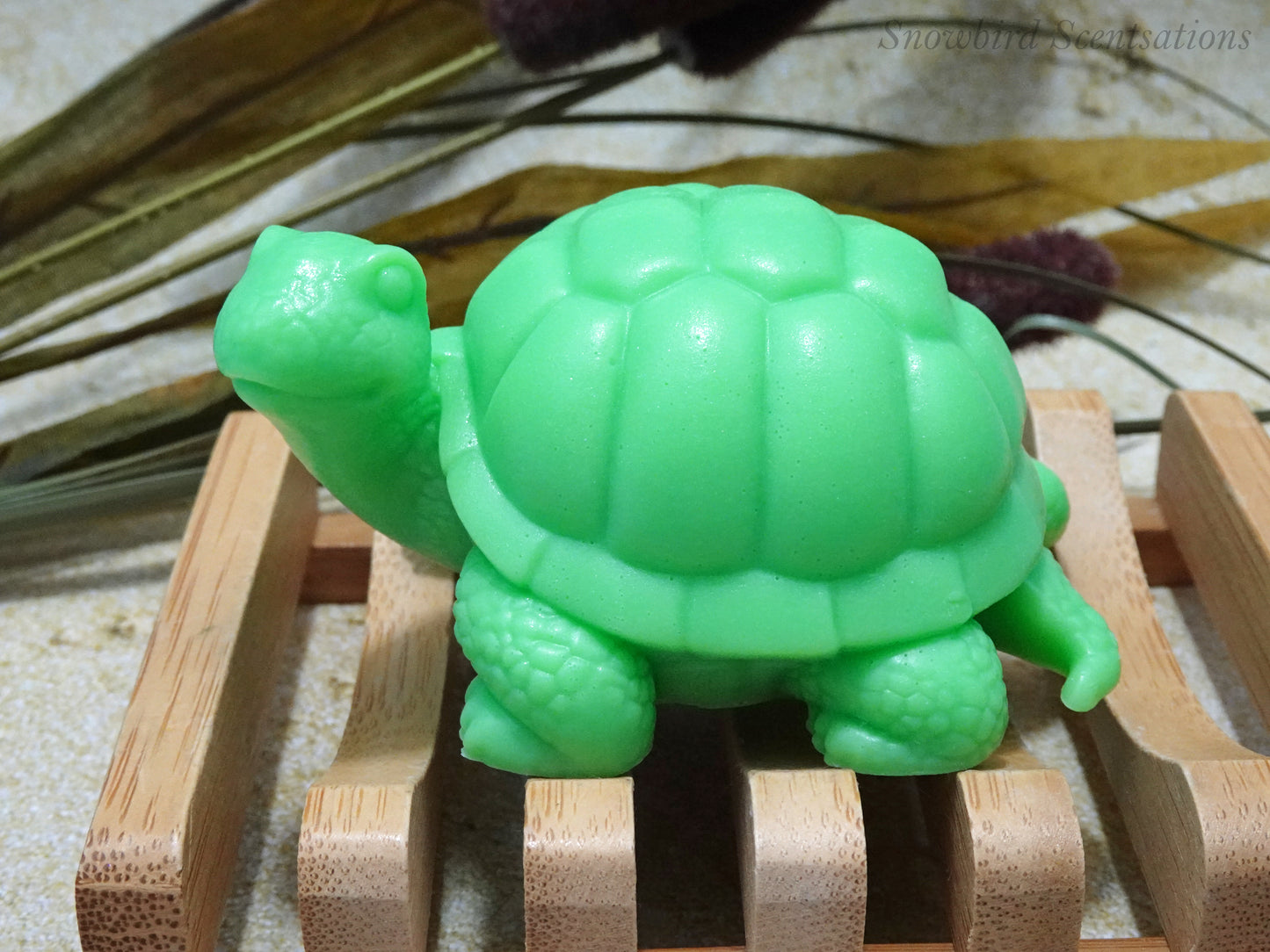 Turtle (Solid or Painted)