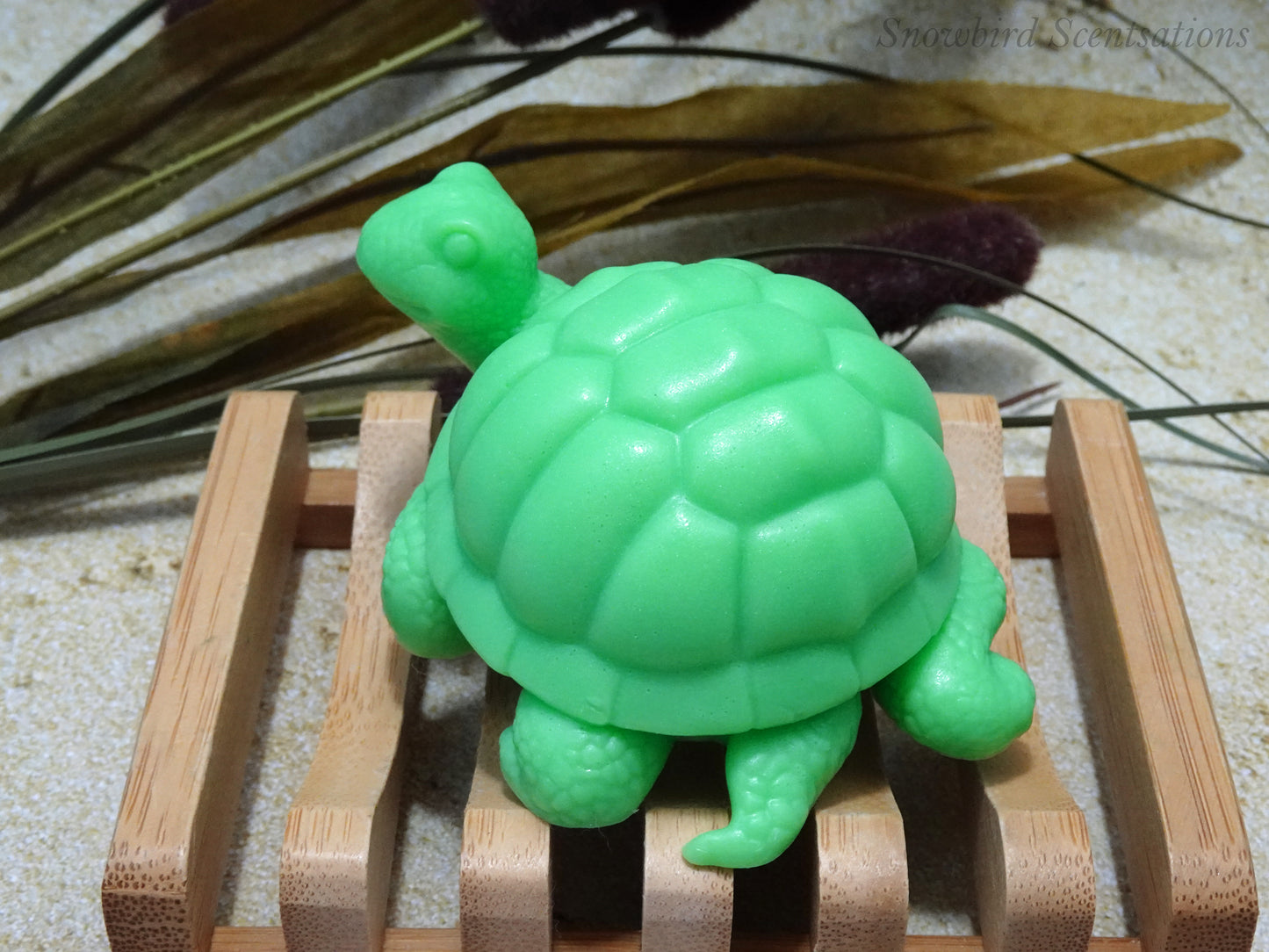 Turtle (Solid or Painted)