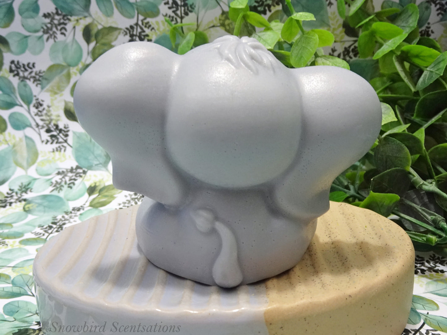 Boy Elephant (Solid or Painted)