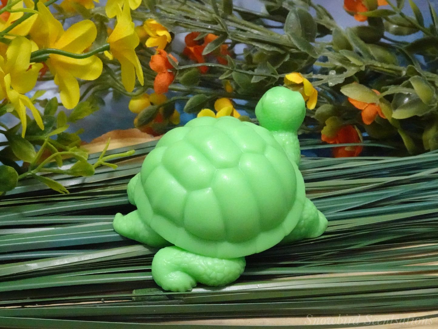 Turtle (Solid or Painted)