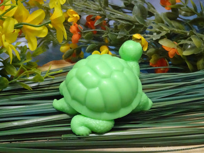 Turtle (Solid or Painted)