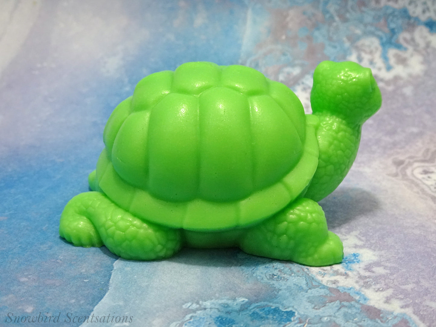 Turtle (Solid or Painted)