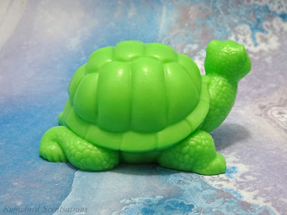 Turtle (Solid or Painted)