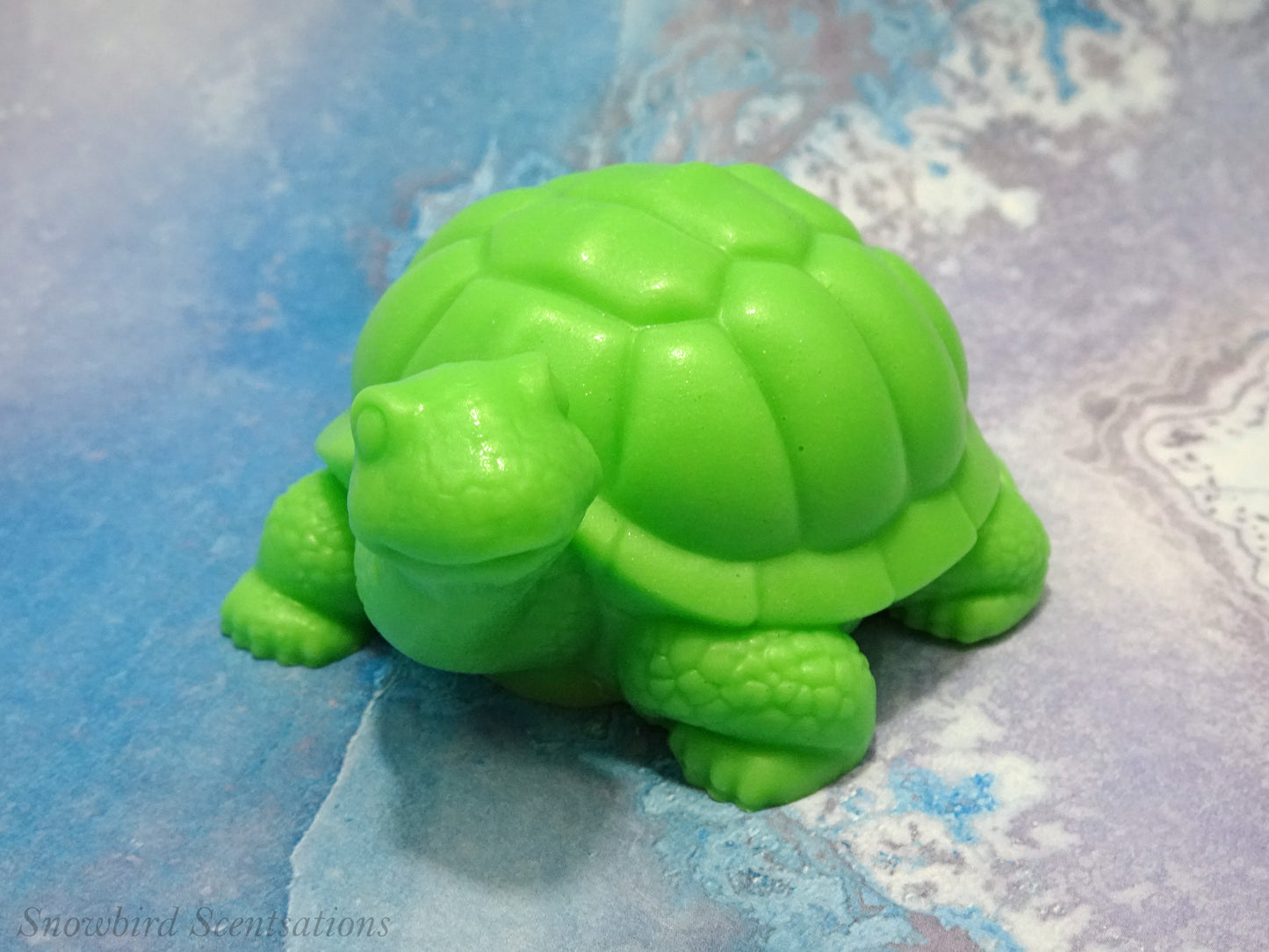 Turtle (Solid or Painted)