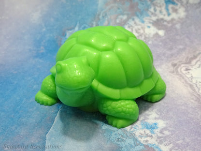 Turtle (Solid or Painted)