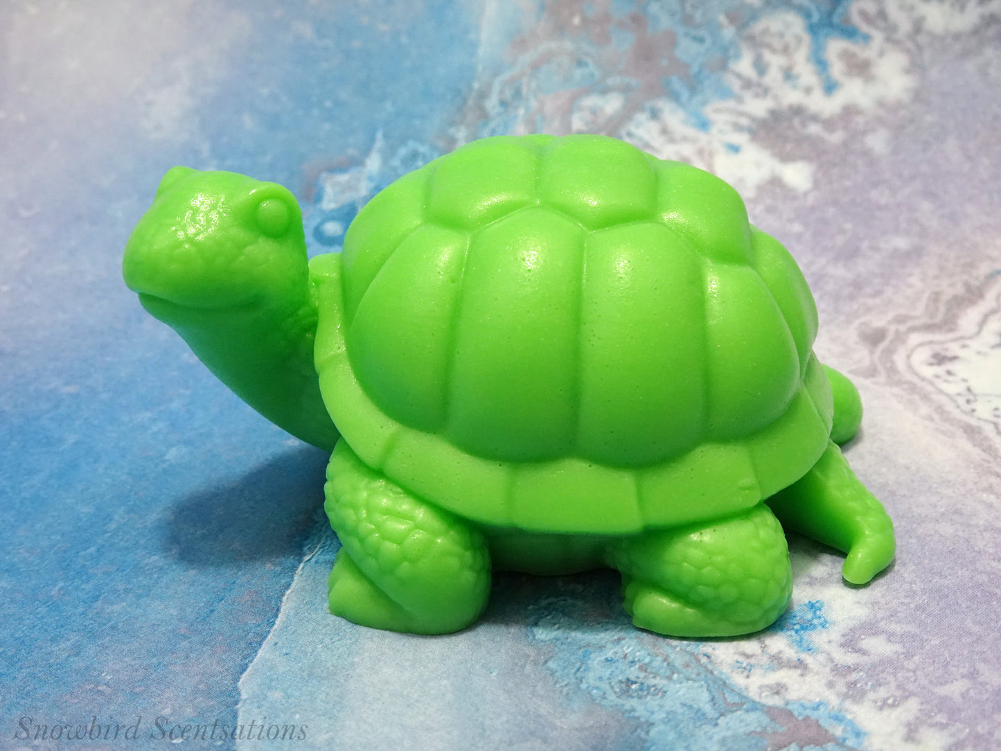 Turtle (Solid or Painted)