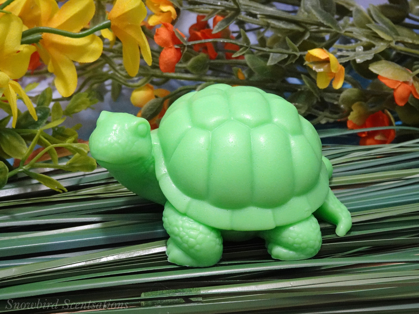 Turtle (Solid or Painted)