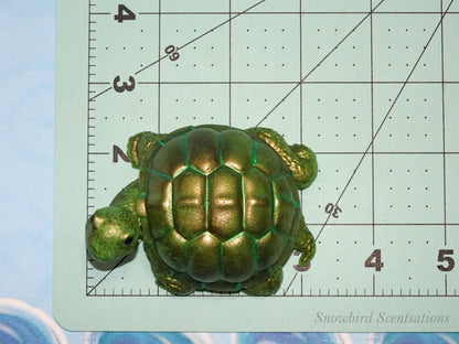 Turtle (Solid or Painted)