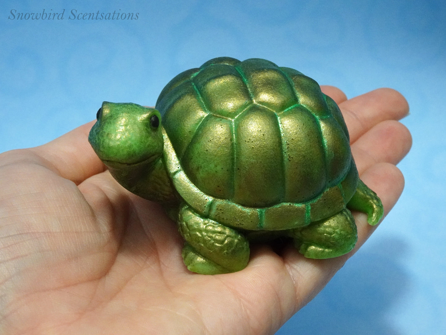 Turtle (Solid or Painted)